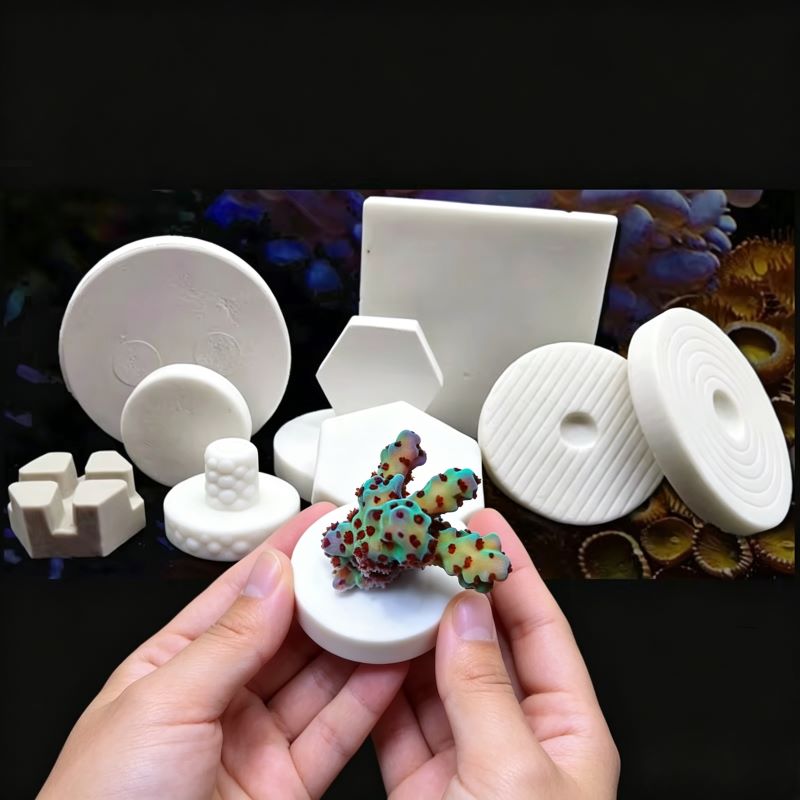 Shelly Plug - SPS Seramik Mercan Frag Plakaları Kare